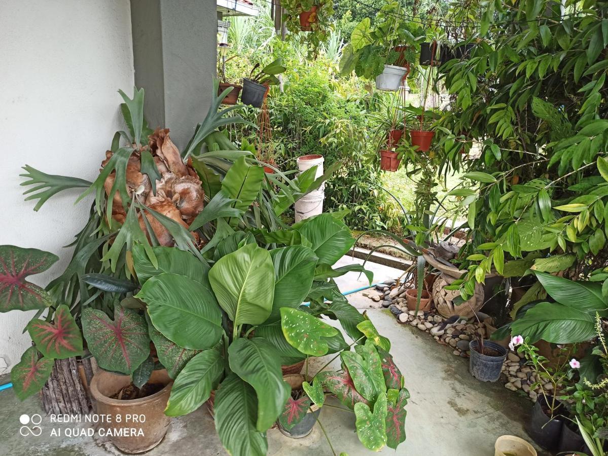 Bdr Bukit Tinggi Klang Tropicana Garden Homestay 外观 照片
